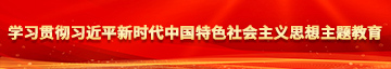 操大奶嫩逼视频网站学习贯彻习近平新时代中国特色社会主义思想主题教育